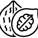 Dry Fruits